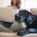 dog rests his head on woman's knee as she sits on couch with her laptop