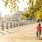 kid on a bicycle with training wheels rides down wooden walkway near pier